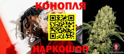 сатива Бугуруслан